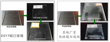 大连耀皮杨继宏1385.png
